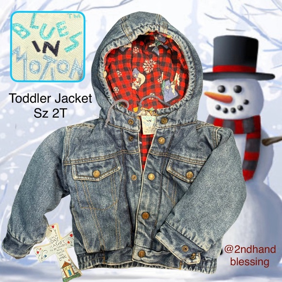 Blues in Motion Other - VTG Toddler Jean Jacket w Hood, Padded Buffalo Plaid Lining, fun winter drawings